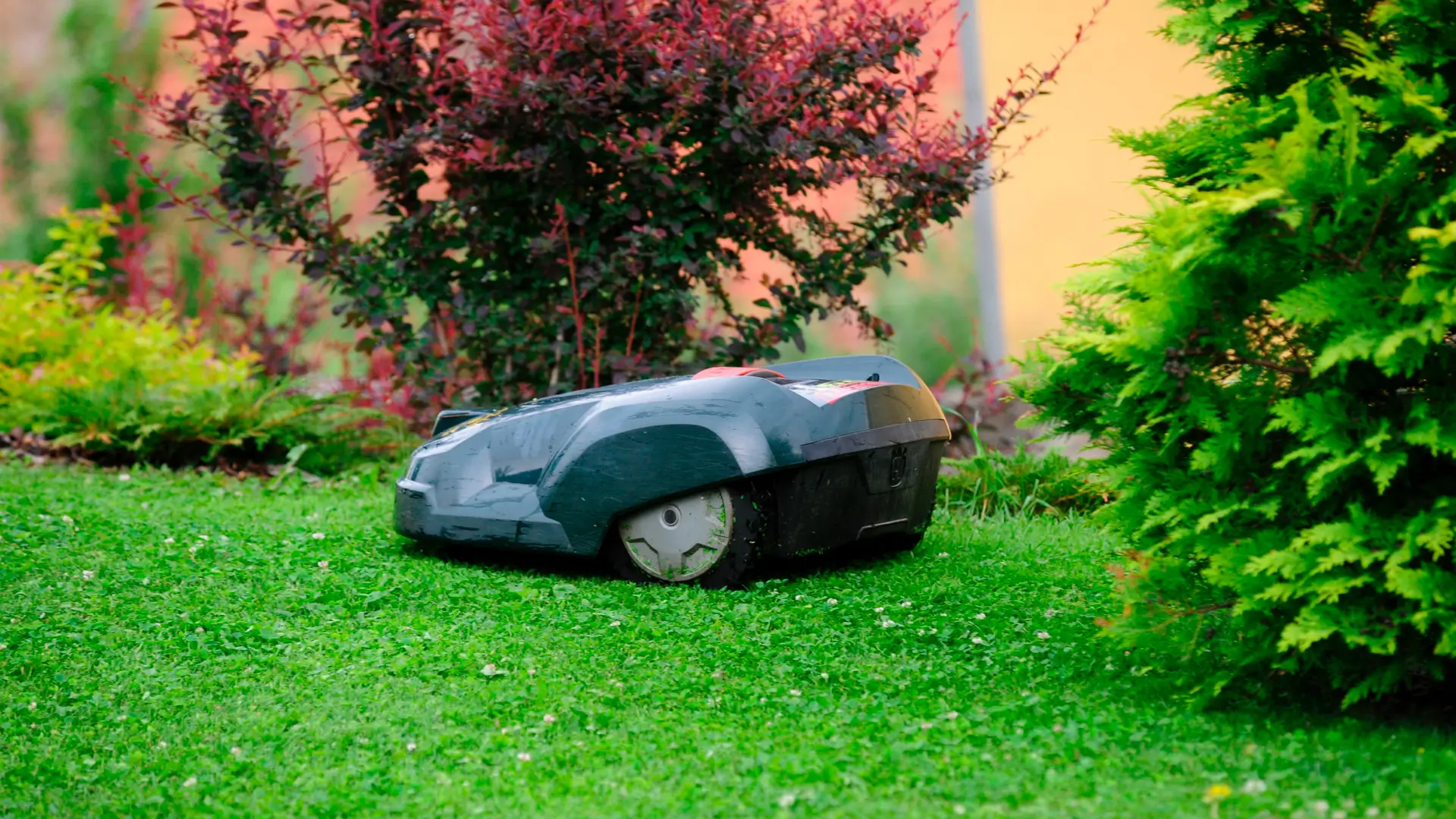 Robot tondeuse