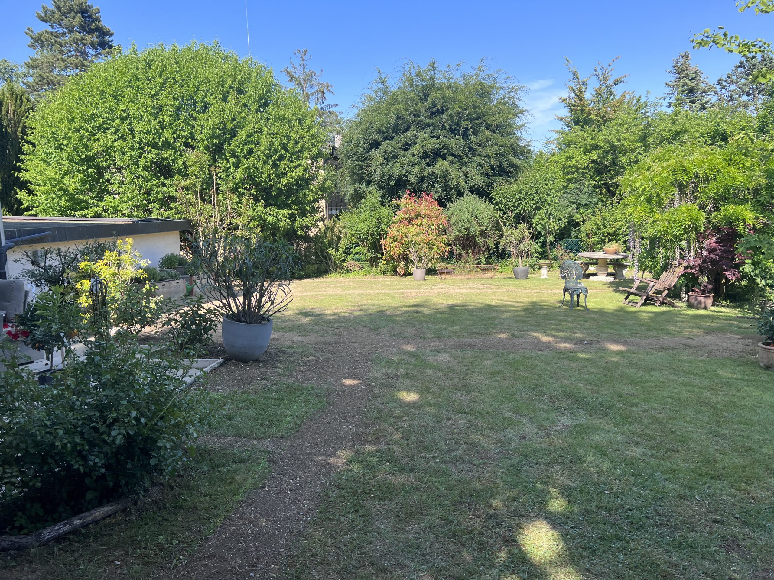 Image Réorganisation jardin