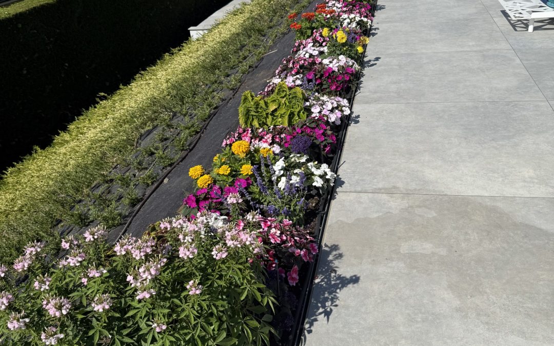 Comment valoriser son bien immobilier avec un jardin bien conçu ?