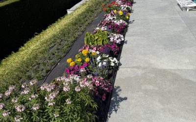 Comment valoriser son bien immobilier avec un jardin bien conçu ?