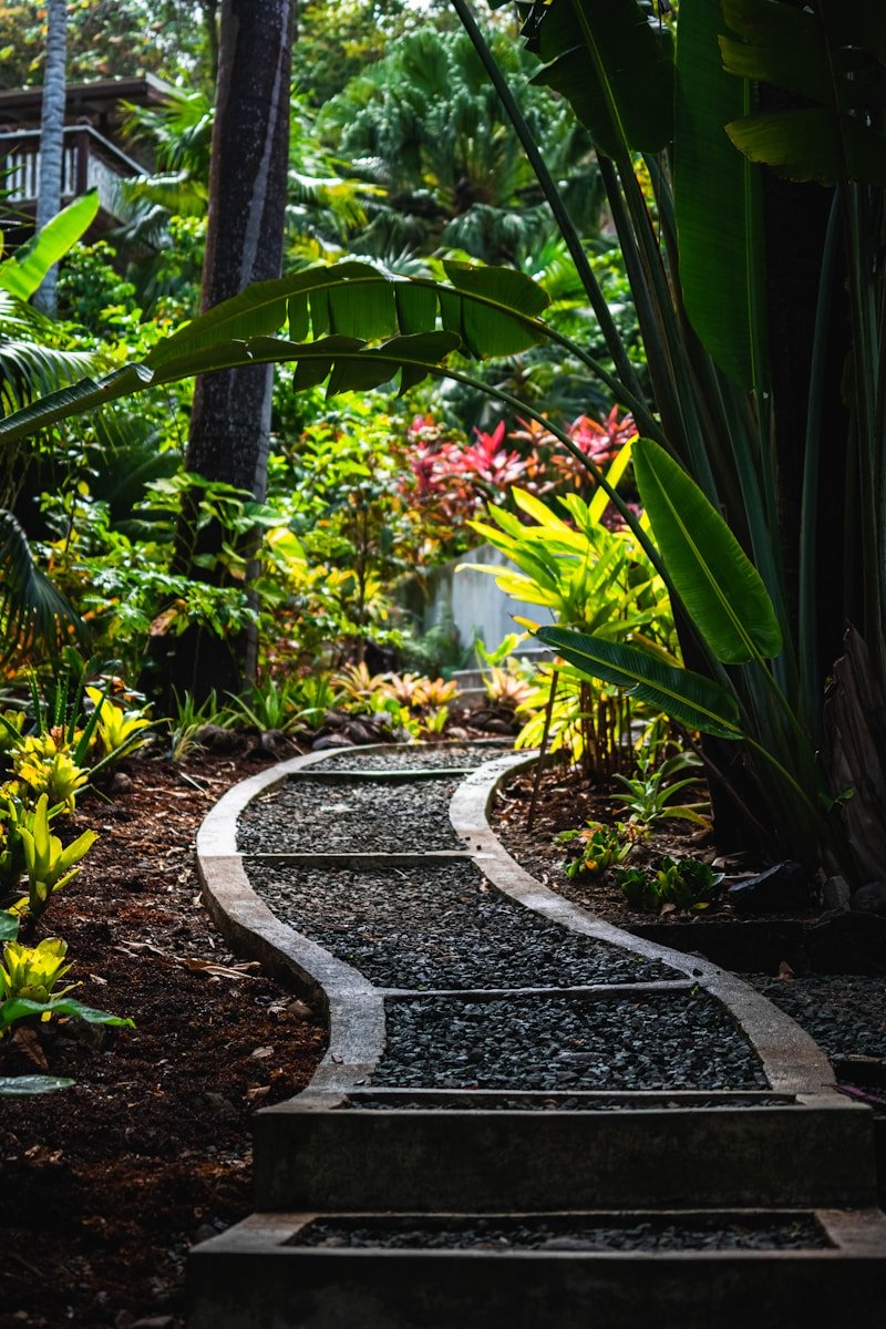 Photo by Joey Genovese green plants and trees during daytime