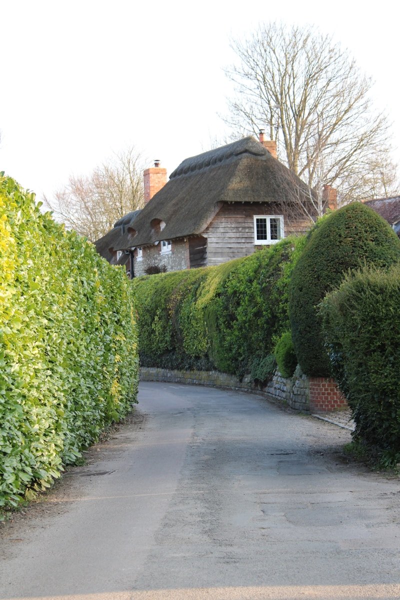 Photo by balesstudio a house with a thatched roof next to a hedge lined road