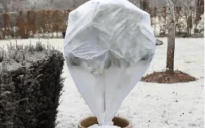 Pourquoi confier l’entretien hivernal de votre jardin à un paysagiste professionnel ?