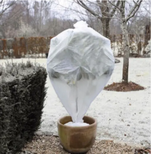 Pourquoi confier l’entretien hivernal de votre jardin à un paysagiste professionnel ?