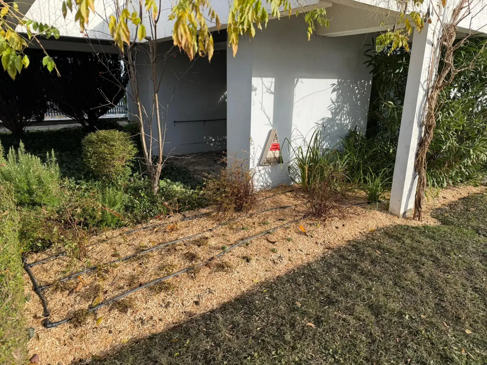 Installation d’un système d’arrosage automatique dans un massif paysager par Swissortus