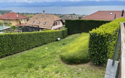Robot de tonte : l’alliance parfaite entre technologie et nature