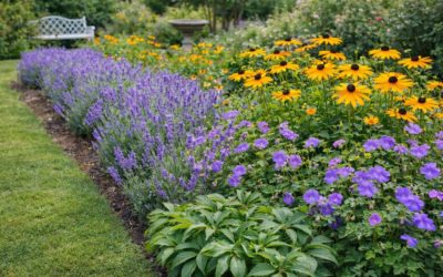 Les bienfaits d’un jardin fleuri toute l’année : secrets de nos paysagistes genevois