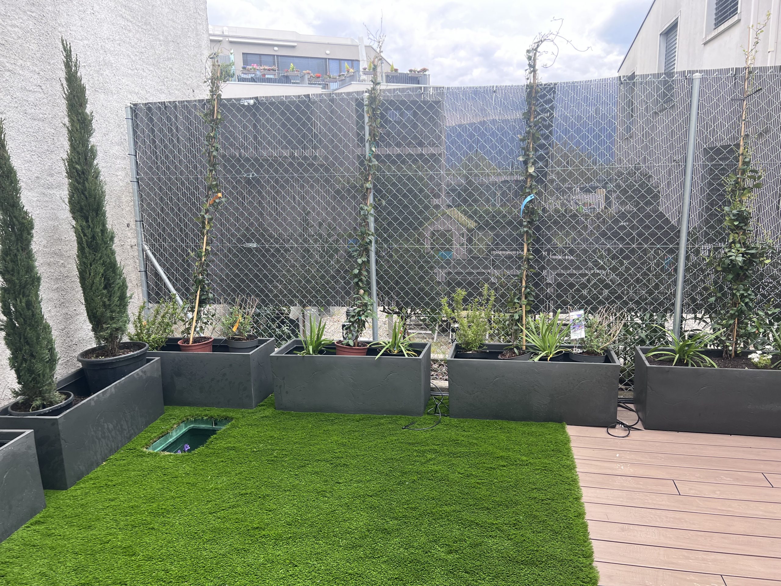 Aménagement de terrasse avec plantations décoratives au Grand-Saconnex à Genève
