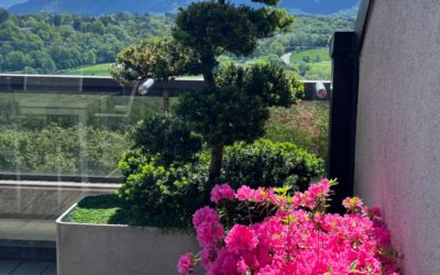 Comment garder un jardin resplendissant pendant les vacances ?